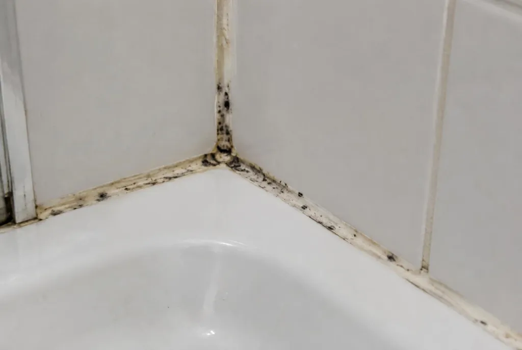 Kitbedrijf Leiden – beschimmelde kitranden